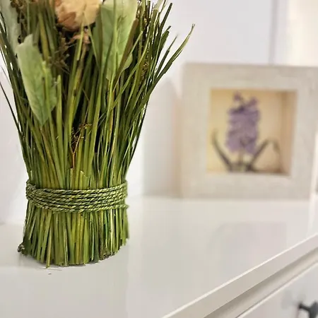 Casa Lola * אל מדאנו